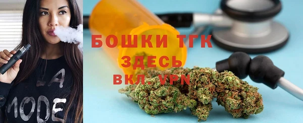 дживик Новозыбков