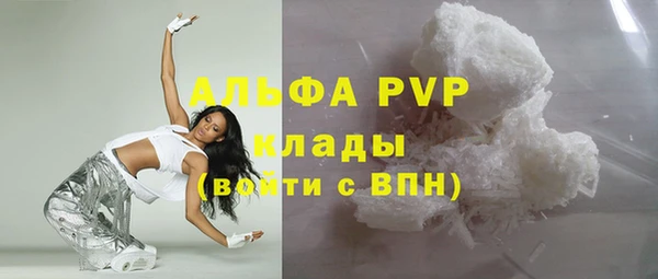 дживик Новозыбков