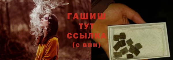 ешки Новодвинск