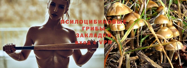 дурь Новокубанск