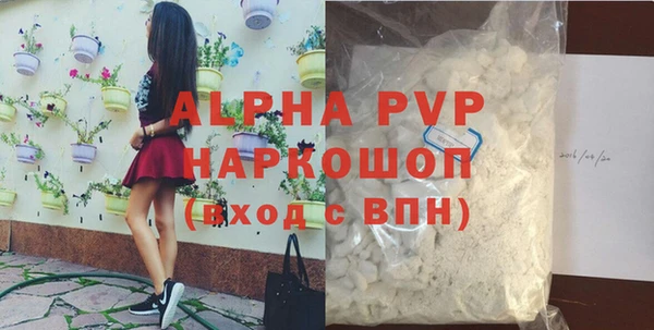 ешки Новодвинск
