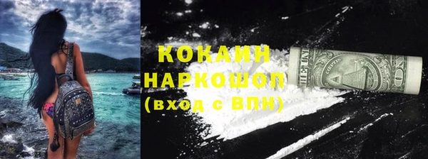 ешки Новодвинск