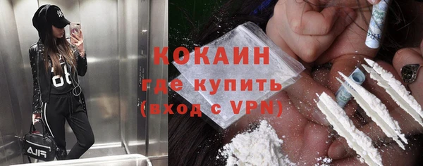 дживик Новозыбков