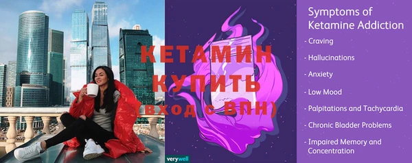 ешки Новодвинск